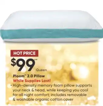 Sleep Country Ploom 2.0 pillow offer