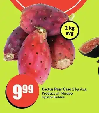 FreshCo Cactus pear case offer
