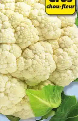 IGA White cauliflower offer