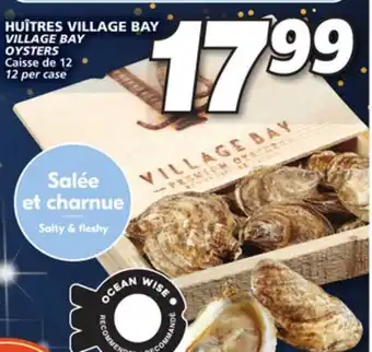 IGA Village bay oysters offer