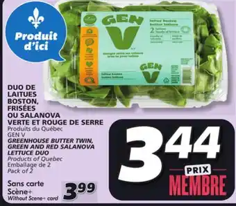 IGA Green lettuce duo offer