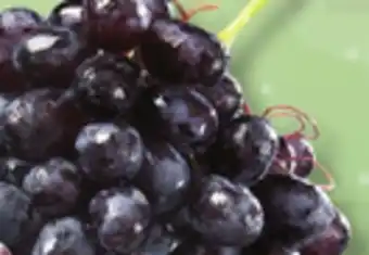 IGA Seedless black grapes offer