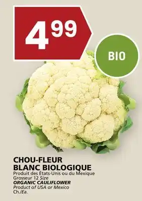 Rachelle-Bery Grocery Organic cauliflower offer