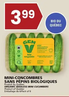 Rachelle-Bery Grocery Organic seedless mini cucumbers offer