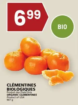 Rachelle-Bery Grocery Organic clementines offer