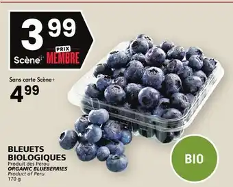 Rachelle-Bery Grocery Organic blueberries offer
