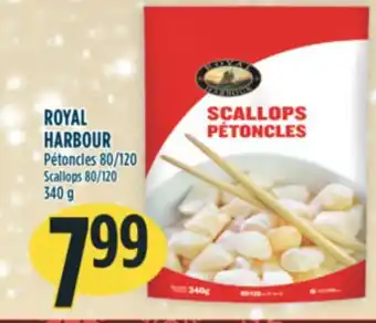 Marché Adonis Royal harbour pétoncles 80/120 offer