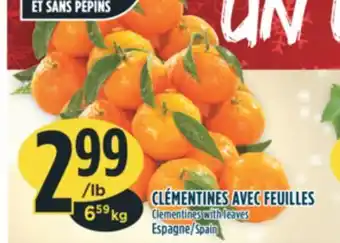 Marché Adonis Clémentines avec feuilles offer