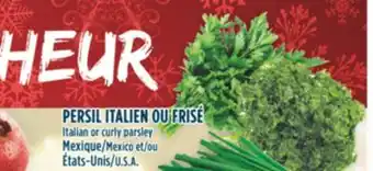 Marché Adonis Persil italien ou frisé offer