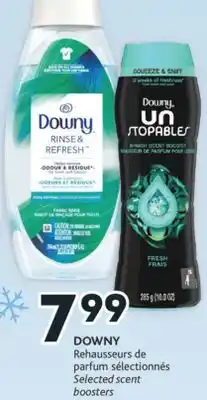Brunet Downy rehausseurs de parfum sélectionnés offer