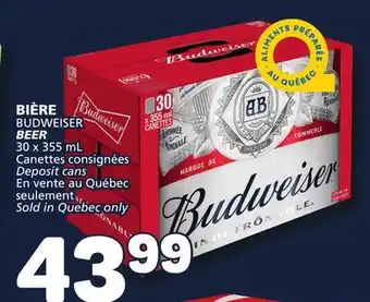 Marché Bonichoix Budweiser beer offer