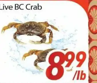 Bestco Food Mart Live bc crab offer