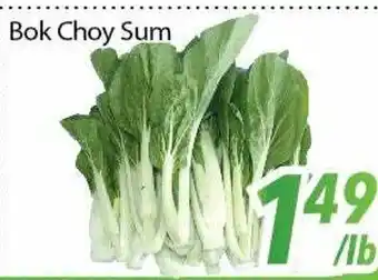 Bestco Food Mart Bok choy sum offer