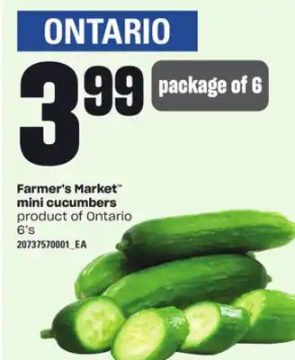 Independent Grocer Farmer's market mini cucumbers, 6's offer