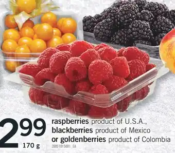 Fortinos Blackberries blackberries product mexico or goldenberries goldenberries product of colombia 170 g offer