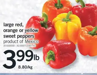 Fortinos Large red, orange or yellow sweet peppers offer