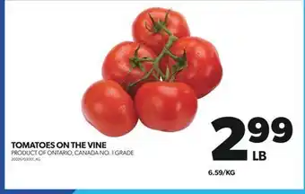 Real Canadian Superstore Tomatoes on the vine offer