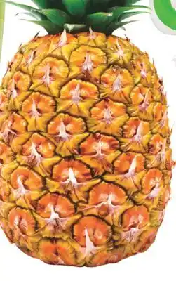 Real Canadian Superstore Organic pineapple offer