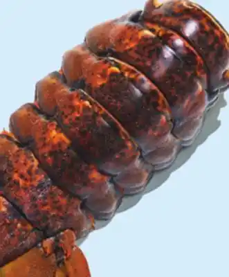 Longo's Frozen canadian lobster tails offer