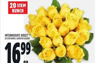 Metro Intermediate roses offer
