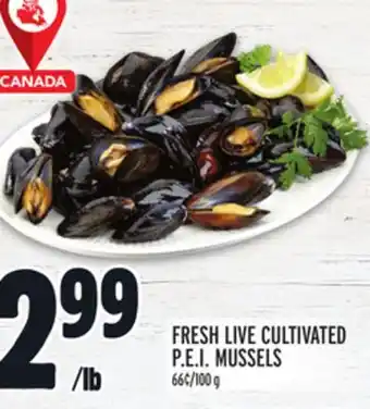 Metro Fresh live cultivated p.e.i. mussels offer