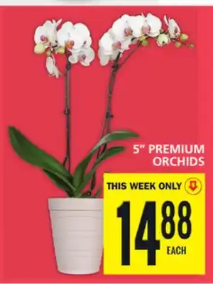 Food Basics 5 premium orchids offer