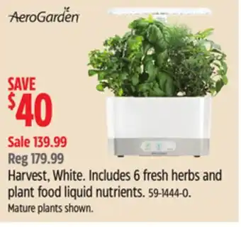Canadian Tire Harvest, white offer