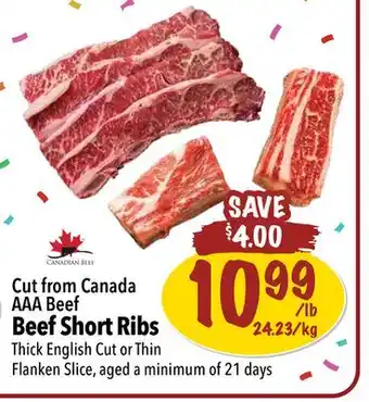 Farm Boy Cut from canada aaa beef beef short ribs offer