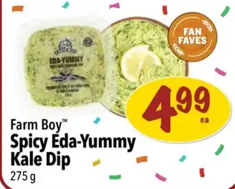 Farm Boy Farm boy spicy eda-yummy kale dip offer
