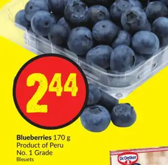 FreshCo Blueberries 170 g product of peru no. 1 grade offer