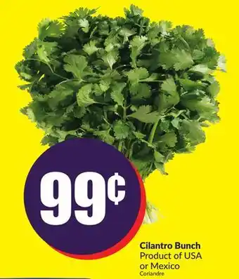 FreshCo Cilantro bunch product of usa or mexico offer