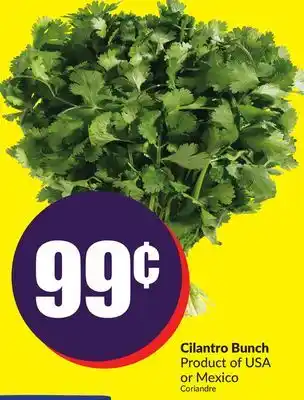 Chalo FreshCo Cilantro bunch product of usa or mexico offer