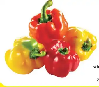 Wholesale Club No name naturally imperfect mixed peppers, 2.5 lb offer