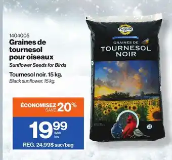 Patrick Morin Sunflower seeds for birds offer