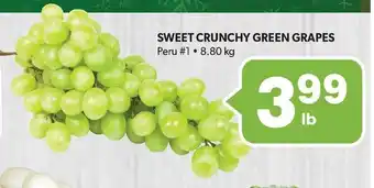 SWEET CRUNCHY GREEN GRAPES