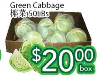 Ample Food Market Green cabbage offer