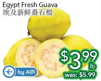 Ample Food Market Egypt fresh guava offer