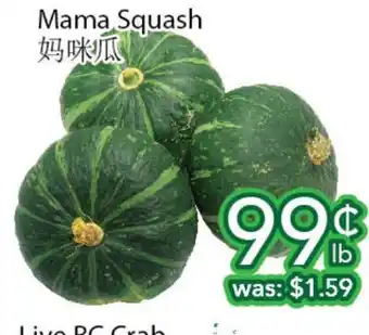 Ample Food Market Mama squash offer