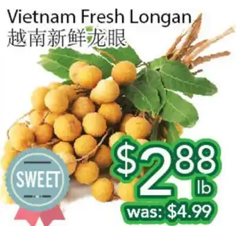 Ample Food Market Vietnam fresh longan offer