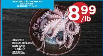 Kim Phat Octopus offer