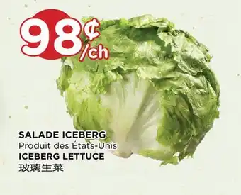 Kim Phat Iceberg lettuce offer