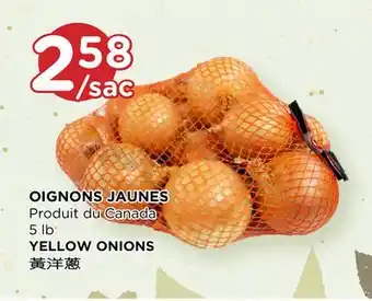 Kim Phat Yellow onions offer