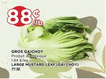 Kim Phat Large mustard leaf (gai choy) offer