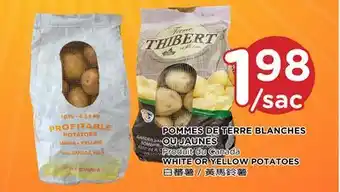 Kim Phat White or yellow potatoes offer