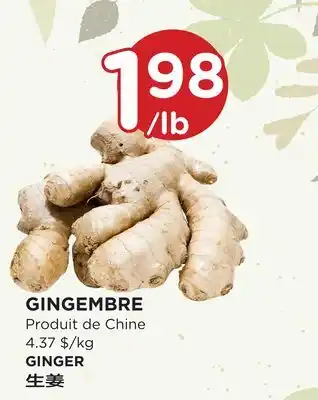 Kim Phat Ginger offer