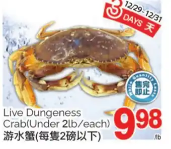 T&T Supermarket Live dungeness crab offer