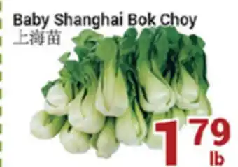 Oceans Fresh Food Market Baby shanghai bok choy offer