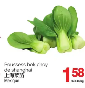 T&T Supermarket Poussess bok choy de shanghai offer