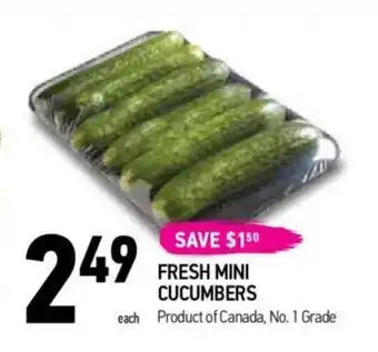 Coppa's Fresh Market FRESH MINI CUCUMBERS offer