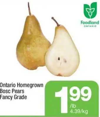 Highland Farms Ontario Homegrown Bosc Pears Fancy Grade offer